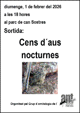 Imatge que cont? text, captura de pantalla, granota, mussol

Pot ser que el contingut generat per IA no sigui correcte.