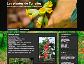 Blog de flora de Torrelles