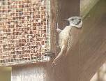 Descripci: C:\Users\USER\Downloads\IMG-20250315-WA0000.jpg
