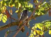 Descripci�: C:\Users\USER\Downloads\Pho och 010.JPG